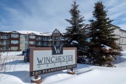 201-290 Plamondon Drive Fort Mcmurray, AB T9K 0A5