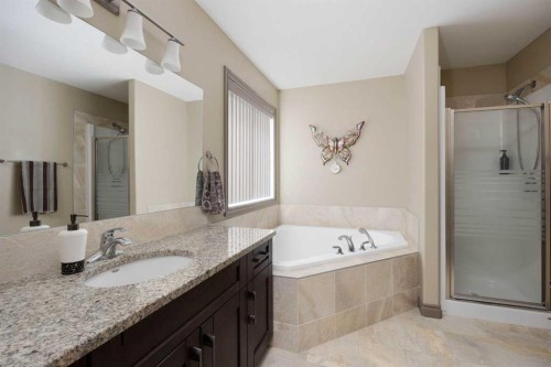 176 Huberman Way, Fort Mcmurray, AB - Indoor Photo Showing Bathroom