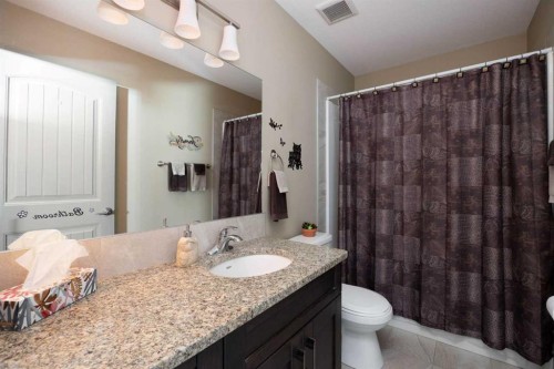 176 Huberman Way, Fort Mcmurray, AB - Indoor Photo Showing Bathroom