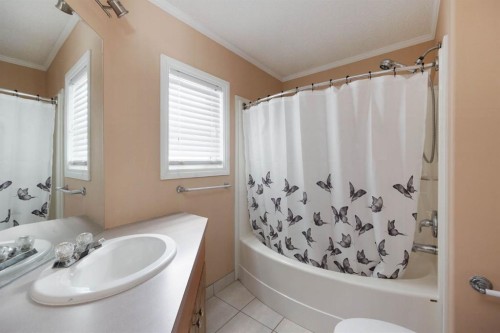 293 Grenfell Crescent, Fort Mcmurray, AB - Indoor Photo Showing Bathroom