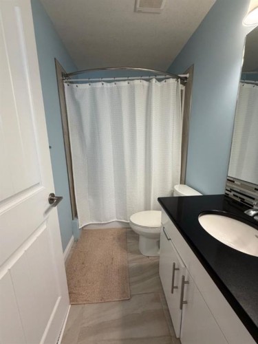 102 Athabasca Crescent, Fort Mcmurray, AB - Indoor Photo Showing Bathroom