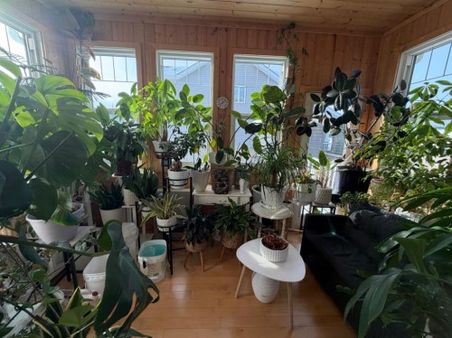 102 Athabasca Crescent, Fort Mcmurray, AB - Indoor