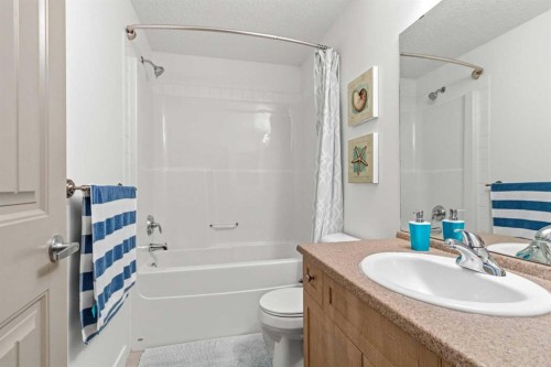 2117-204 Sparrow Hawk Drive, Fort Mcmurray, AB - Indoor Photo Showing Bathroom