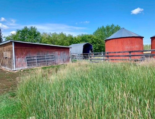 64455 Range Rd 114 Range, Lac La Biche, AB - Outdoor