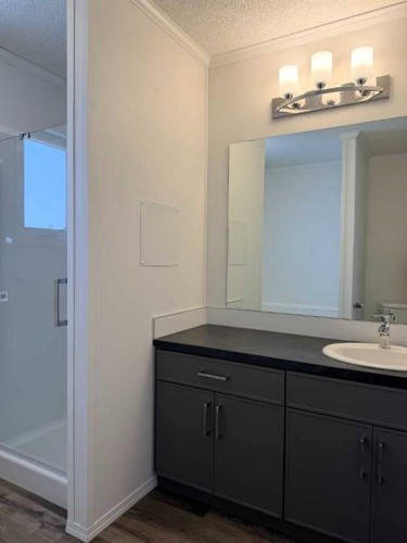 140 Caouette Crescent, Fort Mcmurray, AB - Indoor Photo Showing Bathroom