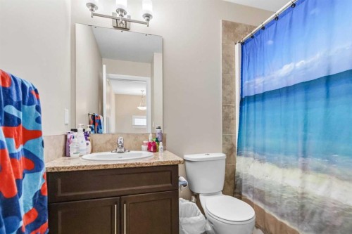 141 Dakin Drive, Fort Mcmurray, AB - Indoor Photo Showing Bathroom