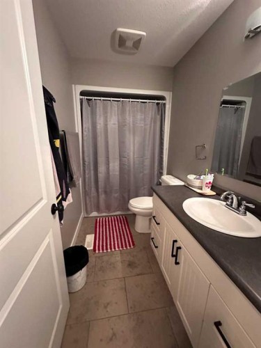 9632 100 Avenue, Lac La Biche, AB - Indoor Photo Showing Bathroom