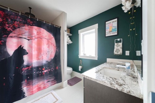 132 Comeau Crescent, Fort Mcmurray, AB - Indoor Photo Showing Bathroom