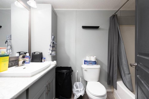 163 Cree Lane, Fort Mcmurray, AB - Indoor Photo Showing Bathroom