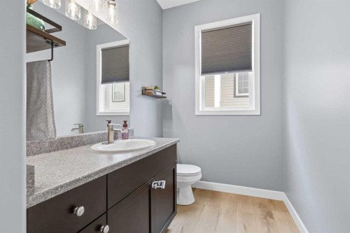253 Grosbeak Way, Fort Mcmurray, AB - Indoor Photo Showing Bathroom