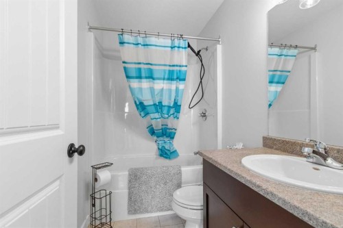 253 Grosbeak Way, Fort Mcmurray, AB - Indoor Photo Showing Bathroom