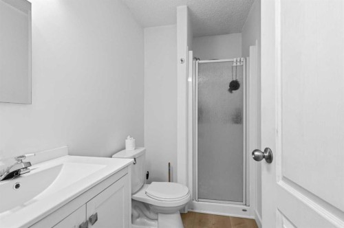 253 Grosbeak Way, Fort Mcmurray, AB - Indoor Photo Showing Bathroom