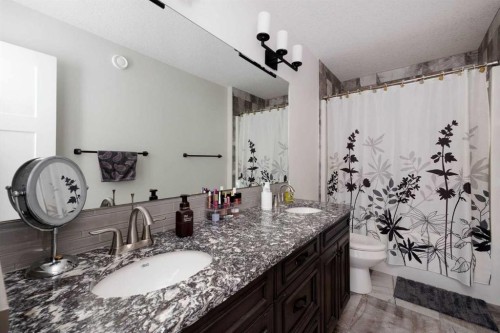 141 Beaverglen Close, Fort Mcmurray, AB - Indoor Photo Showing Bathroom