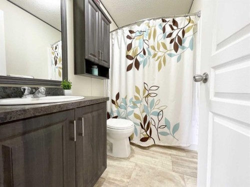 145 Caouette Crest, Fort Mcmurray, AB - Indoor Photo Showing Bathroom