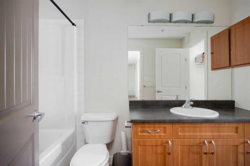 302-136A Sandpiper Road, Fort Mcmurray, AB - Indoor Photo Showing Bathroom