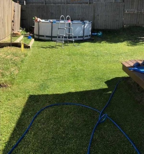 344 Grey Crescent, Fort Mcmurray, AB - Outdoor With Above Ground Pool