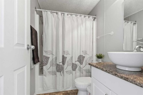 189 Caouette Crescent, Fort Mcmurray, AB - Indoor Photo Showing Bathroom
