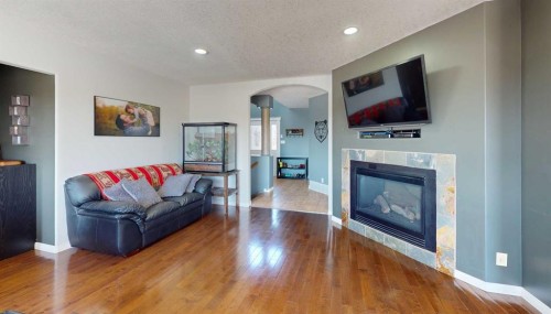 9221 91 Ave, Lac La Biche, AB - Indoor Photo Showing Living Room With Fireplace