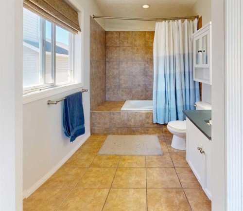 9221 91 Ave, Lac La Biche, AB - Indoor Photo Showing Bathroom