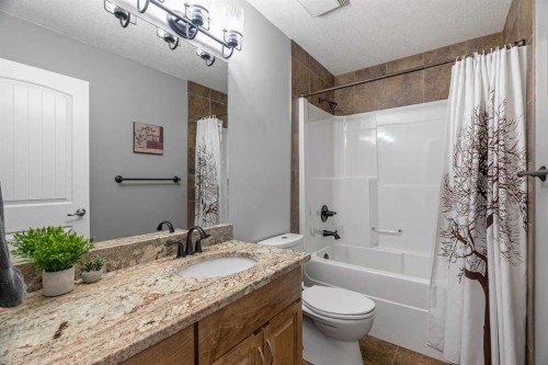 459 Killdeer Way, Fort Mcmurray, AB - Indoor Photo Showing Bathroom