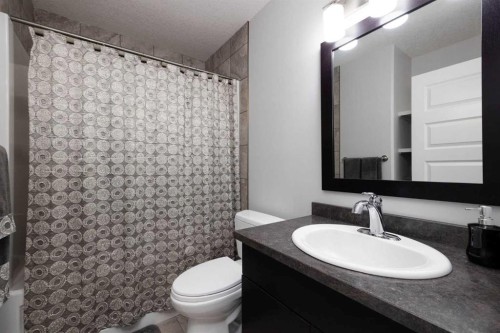 403 Prospect Drive, Fort Mcmurray, AB - Indoor Photo Showing Bathroom