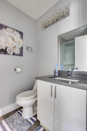 218 Prospect Drive, Fort Mcmurray, AB - Indoor Photo Showing Bathroom