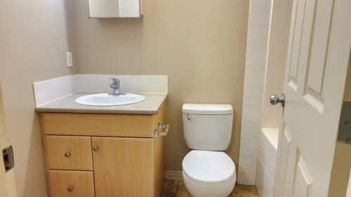 1411-200 Lougheed Drive, Fort Mcmurray, AB - Indoor Photo Showing Bathroom
