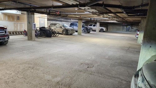 1411-200 Lougheed Drive, Fort Mcmurray, AB - Indoor Photo Showing Garage