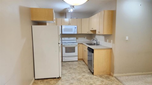 1411-200 Lougheed Drive, Fort Mcmurray, AB - Indoor Photo Showing Kitchen With Double Sink