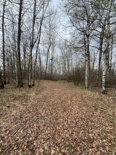164075 Township Rd 712, Rural Athabasca County, AB 