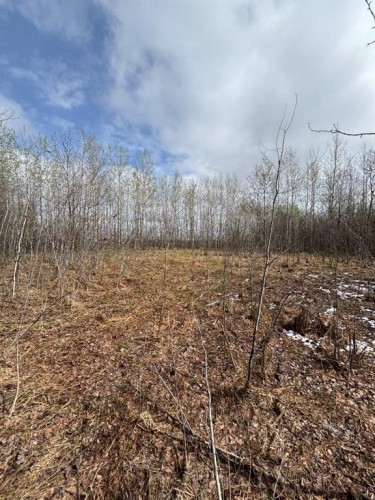 164075 Township Rd 712, Rural Athabasca County, AB 