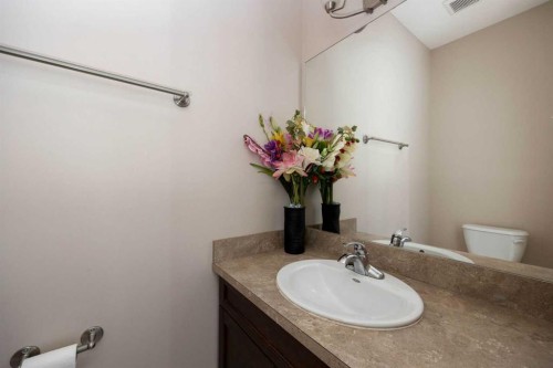 225 Sparrow Hawk Drive, Fort Mcmurray, AB - Indoor Photo Showing Bathroom