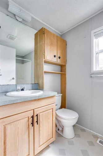 252 Grandview Crescent, Fort Mcmurray, AB - Indoor Photo Showing Bathroom