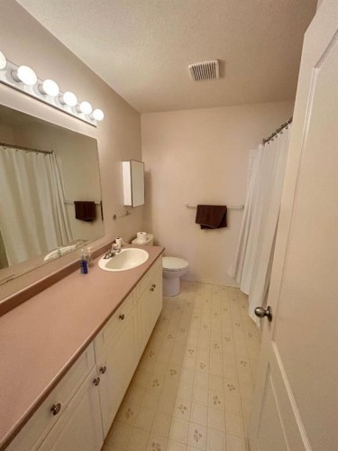 207-9028 Alberta Avenue, Lac La Biche, AB - Indoor Photo Showing Bathroom