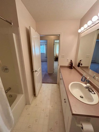 207-9028 Alberta Avenue, Lac La Biche, AB - Indoor Photo Showing Bathroom