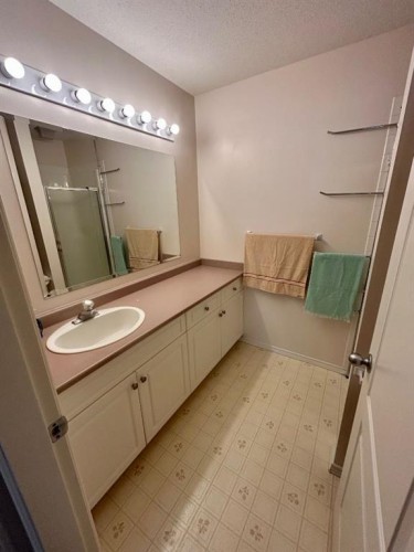 207-9028 Alberta Avenue, Lac La Biche, AB - Indoor Photo Showing Bathroom