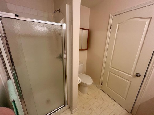 207-9028 Alberta Avenue, Lac La Biche, AB - Indoor Photo Showing Bathroom