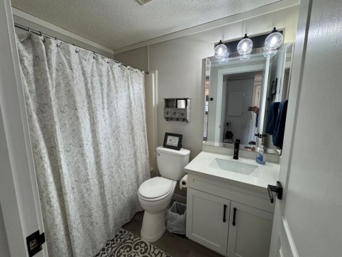 208 Mitchell Drive, Fort Mcmurray, AB - Indoor Photo Showing Bathroom