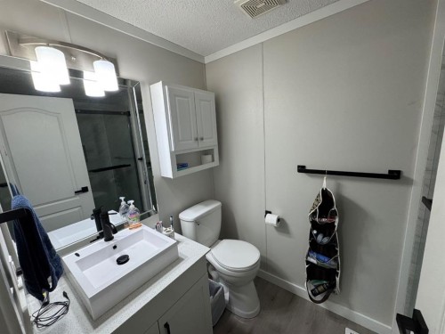 208 Mitchell Drive, Fort Mcmurray, AB - Indoor Photo Showing Bathroom