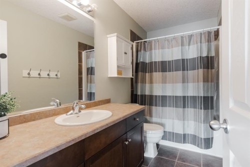 128 Coyote Crescent, Fort Mcmurray, AB - Indoor Photo Showing Bathroom