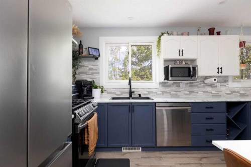 149 Ermine Crescent, Fort Mcmurray, AB - Indoor Photo Showing Kitchen With Double Sink