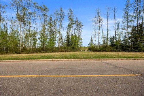 149 Ermine Crescent, Fort Mcmurray, AB - Outdoor With View