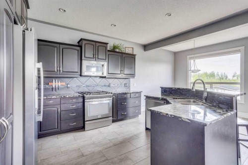 377 Walnut Crescent, Fort Mcmurray, AB - Indoor Photo Showing Kitchen With Double Sink With Upgraded Kitchen