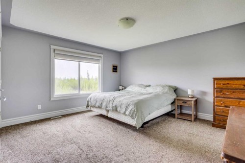 377 Walnut Crescent, Fort Mcmurray, AB - Indoor Photo Showing Bedroom