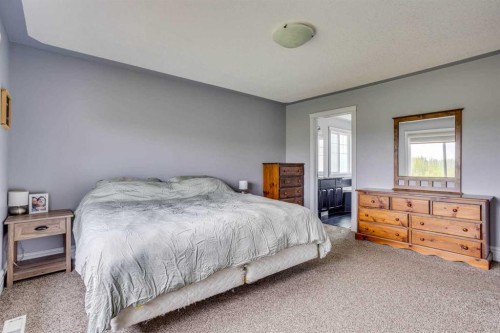 377 Walnut Crescent, Fort Mcmurray, AB - Indoor Photo Showing Bedroom