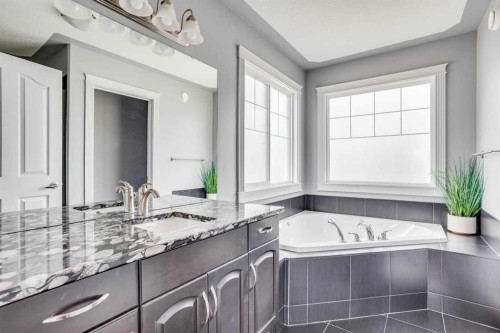 377 Walnut Crescent, Fort Mcmurray, AB - Indoor Photo Showing Bathroom