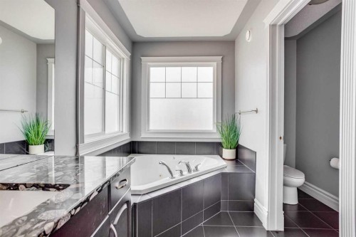 377 Walnut Crescent, Fort Mcmurray, AB - Indoor Photo Showing Bathroom