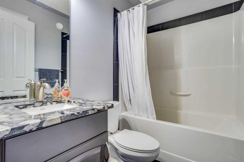 377 Walnut Crescent, Fort Mcmurray, AB - Indoor Photo Showing Bathroom