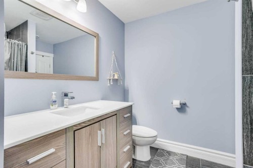 377 Walnut Crescent, Fort Mcmurray, AB - Indoor Photo Showing Bathroom