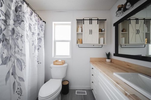 213 Mitchell Drive, Fort Mcmurray, AB - Indoor Photo Showing Bathroom